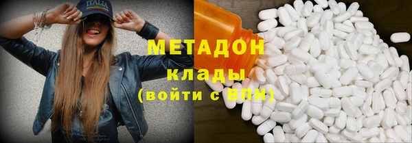 прущие грибы Медвежьегорск
