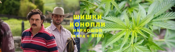 тгк Магас