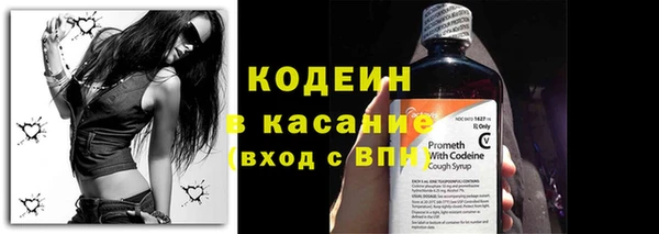 прущие грибы Медвежьегорск