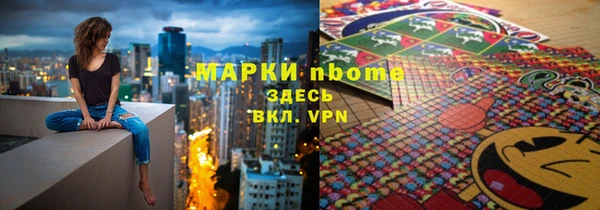 прущие грибы Медвежьегорск