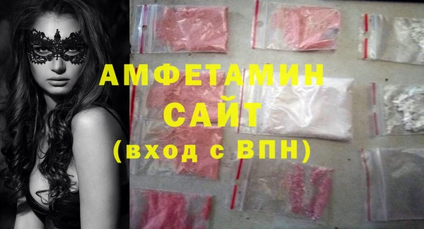 прущие грибы Медвежьегорск