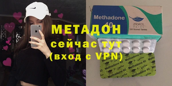 прущие грибы Медвежьегорск
