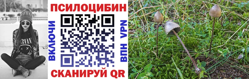 Псилоцибиновые грибы GOLDEN TEACHER  Рыльск 